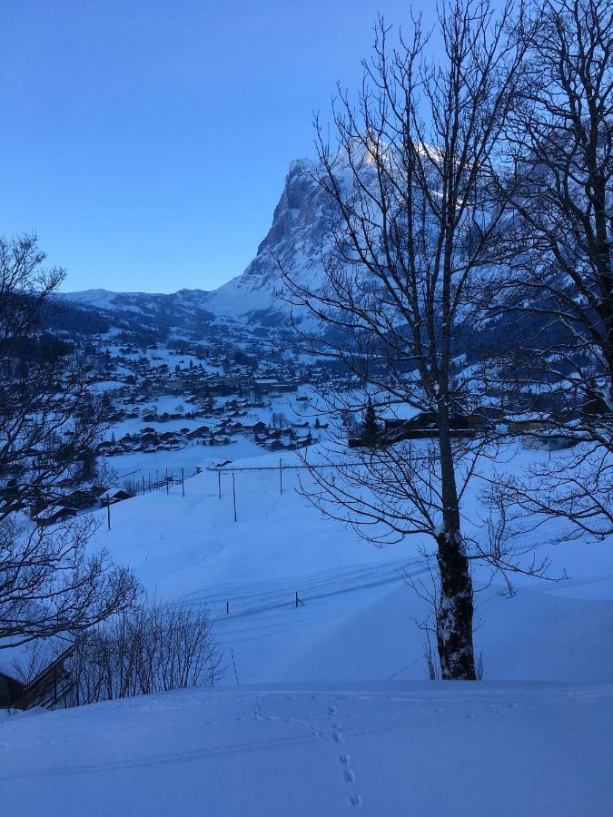 Chalet Studen Grindelwald Exterior foto